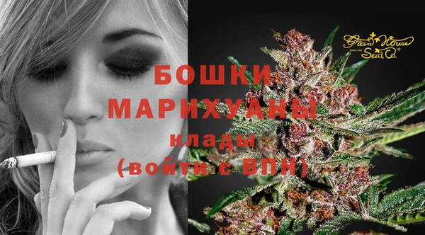 бошки Гусь-Хрустальный