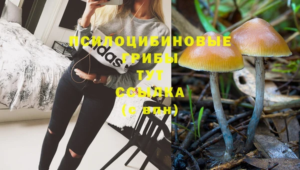 кокаин колумбия Гусев