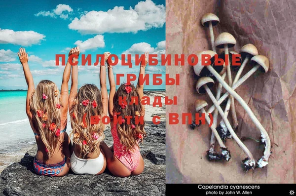 кокаин колумбия Гусев